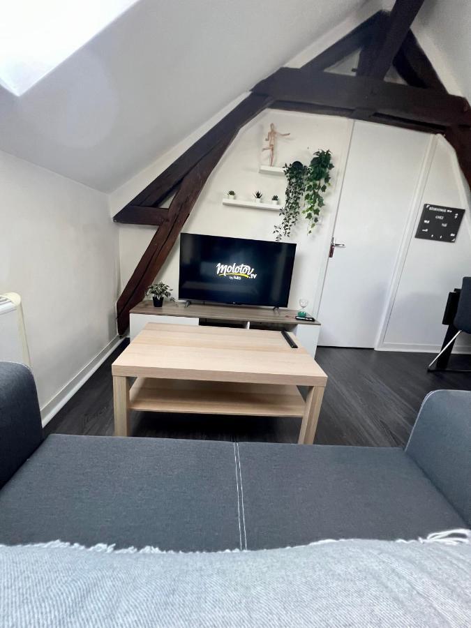 Bel Appartement Lumineux 35M2, Bord De Loire Saint-Jean-le-Blanc ภายนอก รูปภาพ