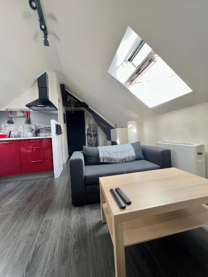 Bel Appartement Lumineux 35M2, Bord De Loire Saint-Jean-le-Blanc ภายนอก รูปภาพ