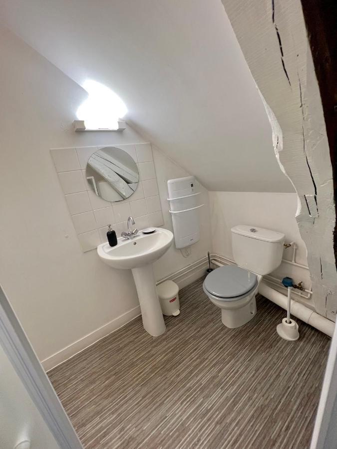 Bel Appartement Lumineux 35M2, Bord De Loire Saint-Jean-le-Blanc ภายนอก รูปภาพ