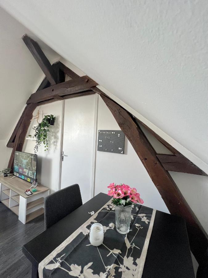 Bel Appartement Lumineux 35M2, Bord De Loire Saint-Jean-le-Blanc ภายนอก รูปภาพ