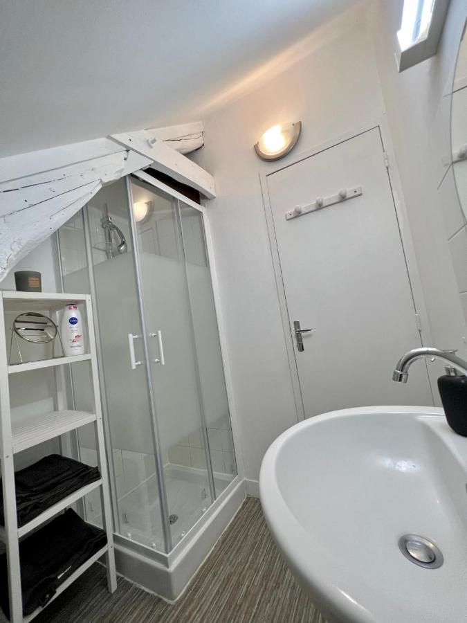 Bel Appartement Lumineux 35M2, Bord De Loire Saint-Jean-le-Blanc ภายนอก รูปภาพ