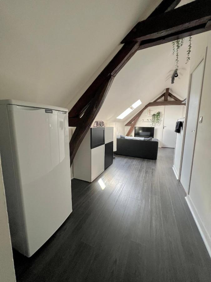 Bel Appartement Lumineux 35M2, Bord De Loire Saint-Jean-le-Blanc ภายนอก รูปภาพ