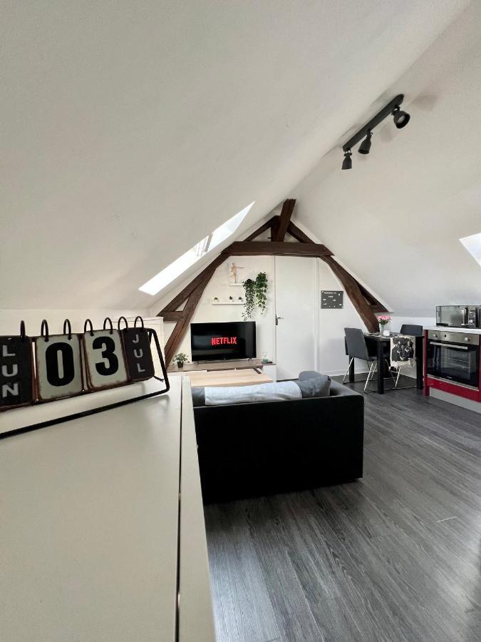 Bel Appartement Lumineux 35M2, Bord De Loire Saint-Jean-le-Blanc ภายนอก รูปภาพ