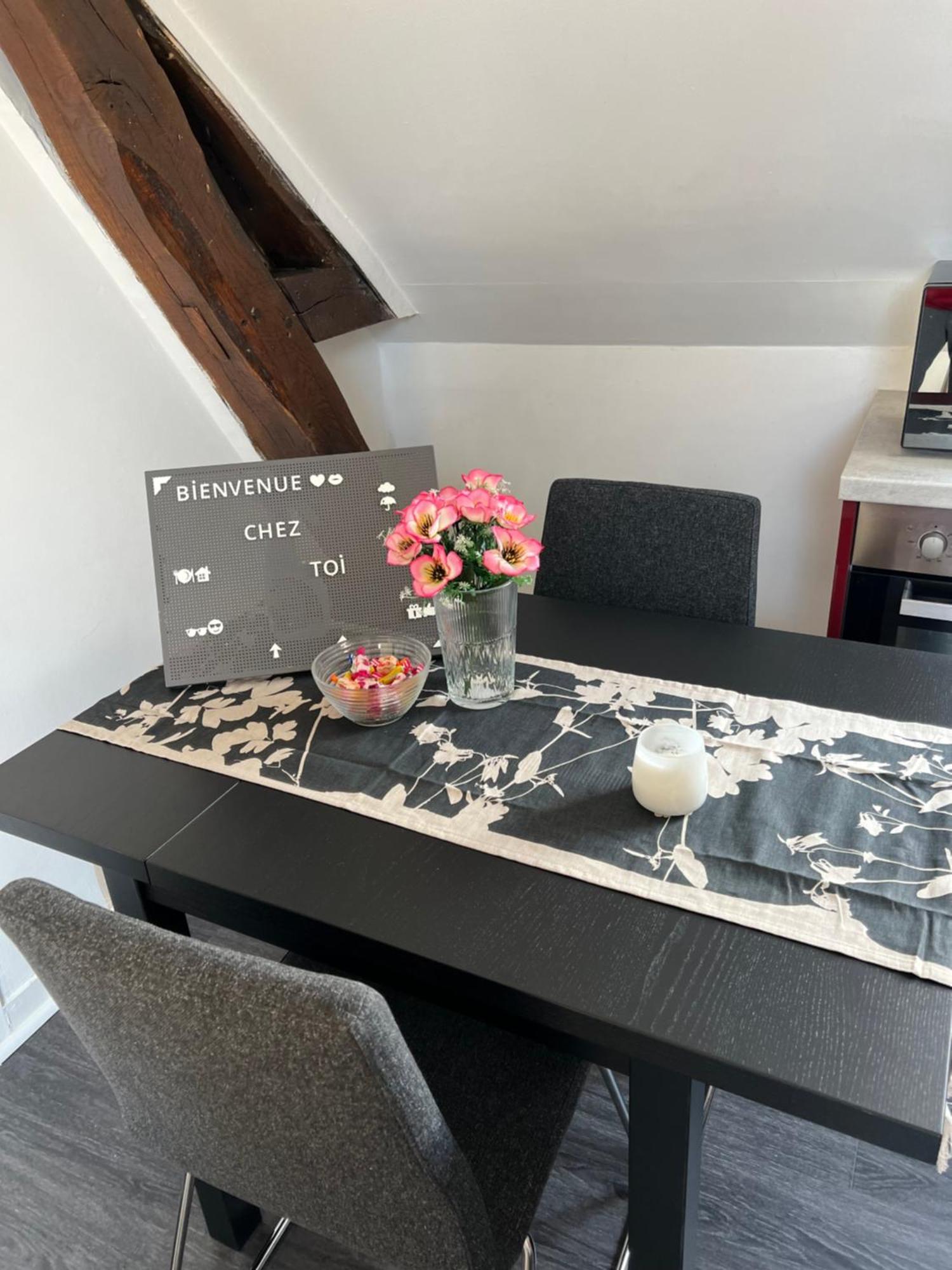 Bel Appartement Lumineux 35M2, Bord De Loire Saint-Jean-le-Blanc ภายนอก รูปภาพ